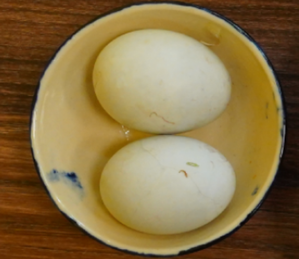 Trứng lộn